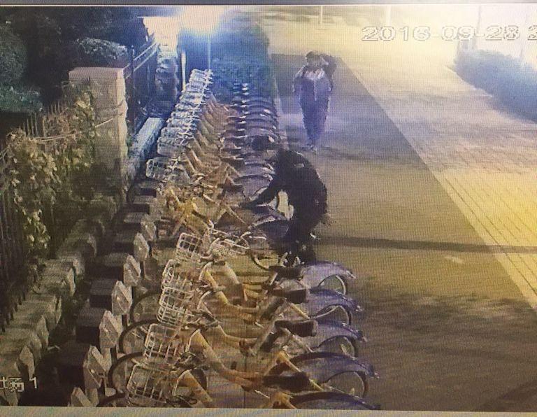 Z6��������ʱ���й������ٷ���վ