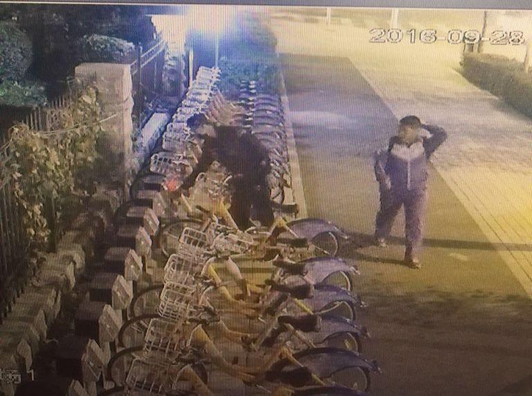 Z6��������ʱ���й������ٷ���վ