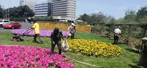 Z6��������ʱ���й������ٷ���վ