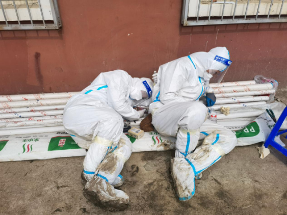 Z6��������ʱ���й������ٷ���վ