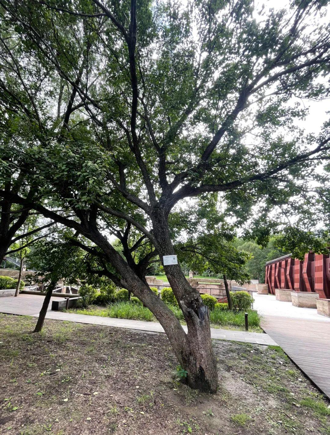 Z6��������ʱ���й������ٷ���վ